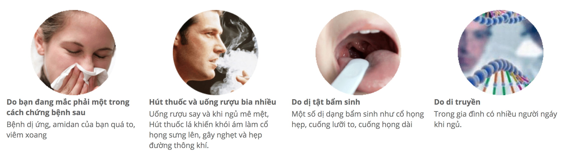 chung-ngay-ngu-comfort
